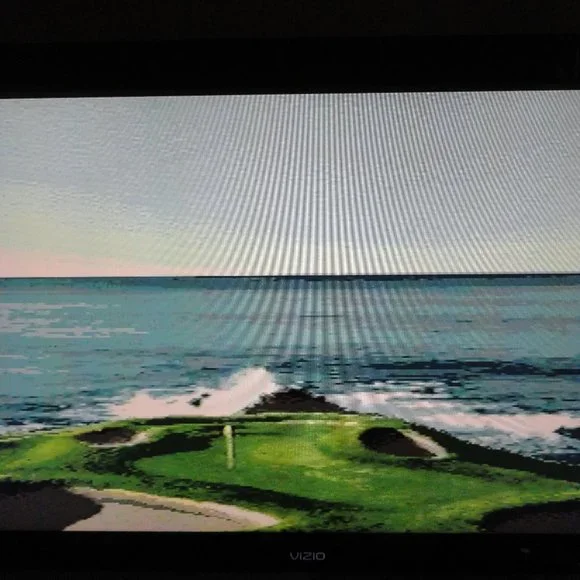 Vintage Sega Genesis Pebble Beach Golf Links Game 1994~Old school gamer~EUC - Picture 6 of 6